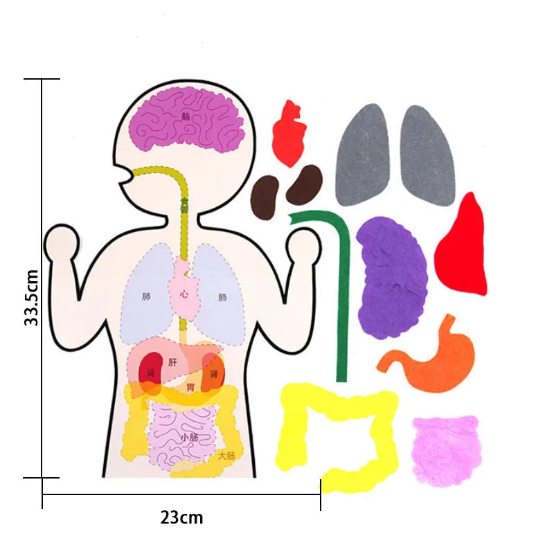 Children’s DIY Sewing Kit – Educational Felt Animal Craft Set