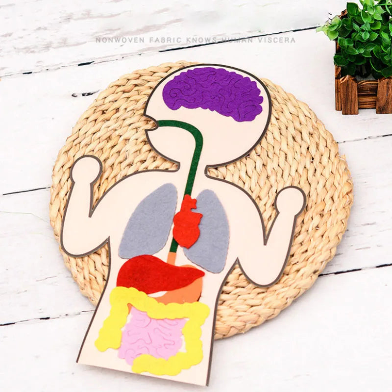 Children’s DIY Sewing Kit – Educational Felt Animal Craft Set